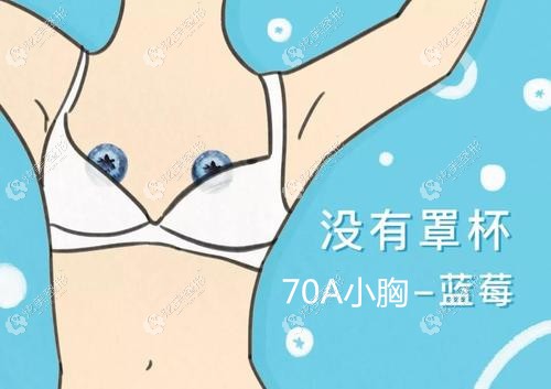 70A�����������235ccˮ�μ����ܴ����